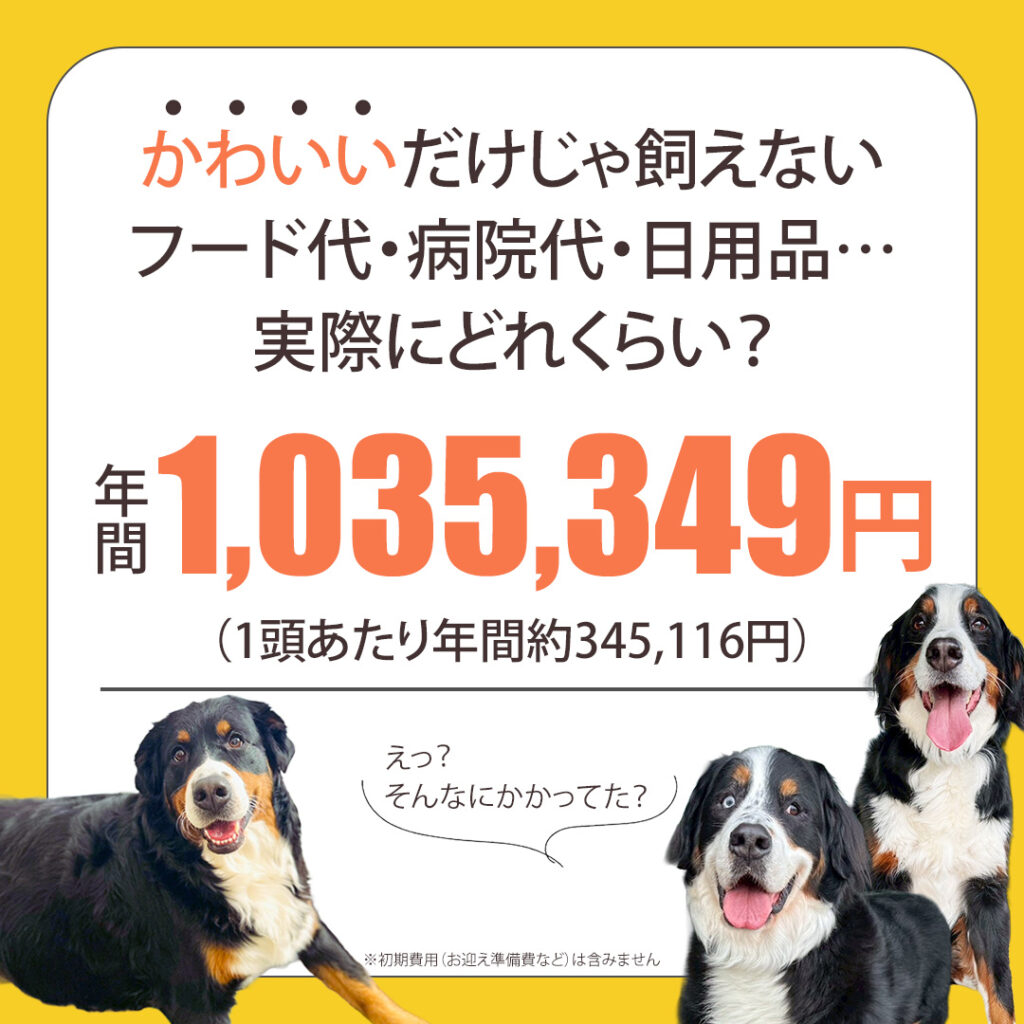 バーニーズマウンテンドッグ３頭に掛かる費用