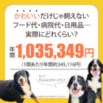 バーニーズマウンテンドッグ三頭に掛かる費用